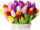 Милые и очаровательные женщины! Поздравляем Вас с праздником весны - 8 марта.